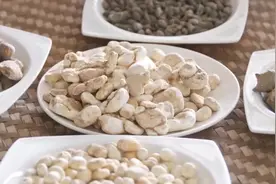 学点中药之化风丹： 中风偏瘫，癫痫失语视频封面