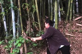 我们农村的女孩子，拿起大砍刀整条村都是她们的，带你玩转村子视频封面