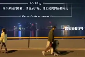 两个情侣分开之后，他们的狗狗会跟谁走？你们这是想把狗弄疯？视频封面