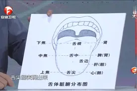 舌诊看气血 中医专家为您讲解舌头不同部位对应的脏腑器官！视频封面