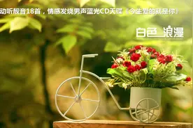 经典动听靓音18首，发烧男声蓝光CD天碟《今生爱的就是你》视频封面