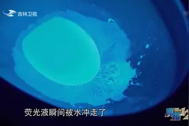 真相123：不盖马桶盖冲水会导致细菌大量飞出？现场实验揭晓答案视频封面
