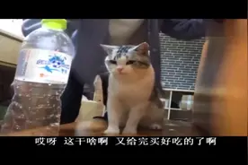爆笑：外国老师是这样上课，惊呆了视频封面