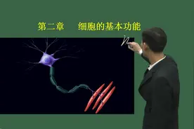 【医学基础知识】第3讲_生理学(三)视频封面