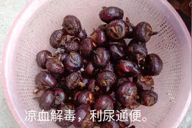 马蹄你喜欢吃吗？它有这些功效，一般人都没注意。视频封面