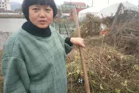 有机肥发酵，自制有机肥过程，厨余垃圾都可以，享受健康生活方式视频封面