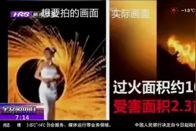 广东：情侣在山顶放烟花，引发火灾200多人扑救，处罚结果来了！视频封面