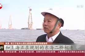 预计明年年底全线贯通，沪舟甬跨海通道舟岱跨海大桥主塔封顶视频封面