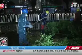 8级雷雨大风“突袭”广州：树木被吹倒，交警园林紧急清理视频封面