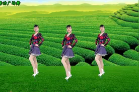 晚上好，睡前欣赏一支广场舞《何时拥你入怀中》心情美美哒！视频封面