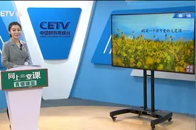 5.22 小学四年级（下） 语文：巨人的花园（一） 胡京晶视频封面