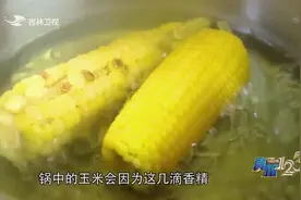 真相123：网传街边煮玉米香甜可口是因添加了玉米香精，真的吗？视频封面