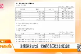紫金银行发布2019年财报，股票持续低迷，逾期贷款增加七成视频封面
