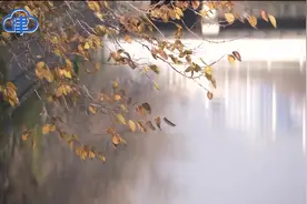 冷空气再来，天津明夜或迎今冬首场降雪！这两个地区降雪量略大视频封面