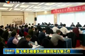 陈飞来岳检查长江湖南段河长制工作视频封面
