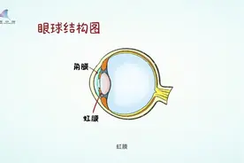 基因治疗有望治疗遗传性眼疾_眼科疾病_前沿科学视频封面