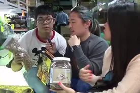 饲养盾臂龟（苏卡达）需要准备什么？part-1视频封面