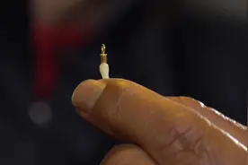 防缠豆有什么用?该怎么用?视频封面