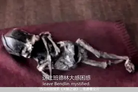纪录片：男子发现奇怪骸骨，外观惊人，没有肚脐或性器官视频封面