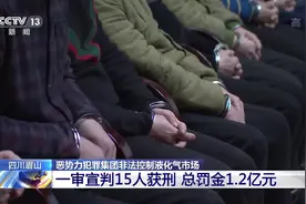 15人获刑，罚金1.2亿元，四川恶势力非法控制液化气市场一案宣判视频封面