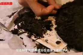 宅在家里别忘了喝茶 因为茶叶里面的“茶氨酸”有大作用视频封面
