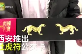 “杜虎符” 成了交通卡，西安文创真有新意，谁不想拥有一份？视频封面