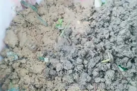 新手养点蚯蚓，在家自制腐熟土？流程都写啦，老哥们给点意见！视频封面