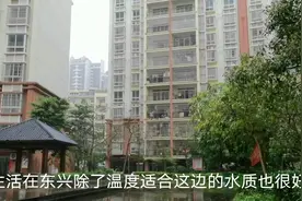 广西东兴温度气候适合候鸟过冬，租房也不贵 度假的新选择视频封面