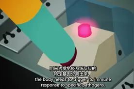 英语学习 | 疫苗的工作原理视频封面