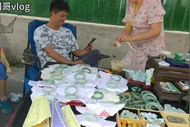 圆哥到蚌埠玉博园去卖凉皮，到处都是奇珍异宝看得眼花缭乱视频封面