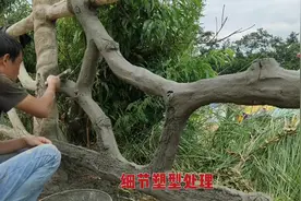 公园景区的水泥仿木栏杆是怎么做的？来咱们现场教学！干货分享！视频封面