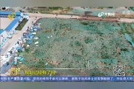 心疼！土地闲置“晒太阳”，拿地近十年，临沂近百亩地仍未开发视频封面