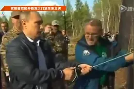 实拍普京拉开铁笼大门放生东北虎视频封面