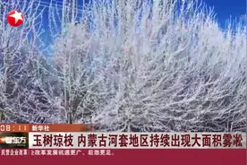 玉树琼枝！内蒙古河套地区持续出现大面积雾凇，绝美冰雪世界视频封面