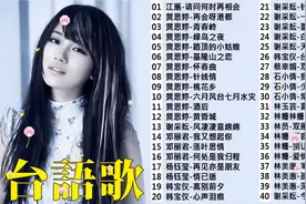 40首【精选闽南歌】黄思婷、韩宝仪、谢采妘、林珊等歌手合集