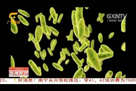 年轻人追求高档，吃未全熟的牛羊肉，可能会染上病菌视频封面