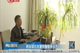 燃放烟花危害究竟有多大？视频封面