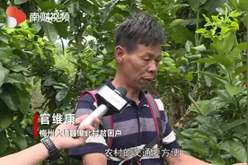 2016年人均纯收入低于4000元，看梅州漳北村如何脱贫攻坚视频封面