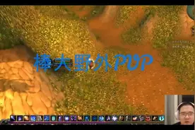 魔兽世界怀旧服，主播棒老三，法师野外偷袭盗贼，被满血反杀带走视频封面