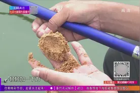 不会正确捏散炮？老师手把手教学，这样捏才大诱鱼还快！视频封面