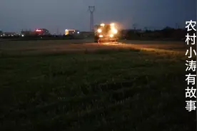 河北邯郸下午7点，当地农民赶在日落之前，抢收夏粮的真实景象视频封面