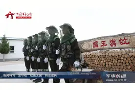 新闻特写：坚守在“蚊虫王国”的巡逻兵视频封面