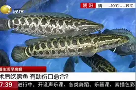 注意！家中有术后病人，可以多给他们吃黑鱼，这样伤口愈合才快视频封面