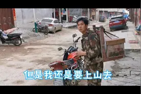 诱蜂箱来蜂后，小万用这个方法把蜂箱搬回家，从来没有飞逃过视频封面