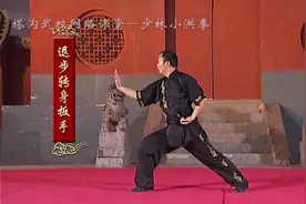 老教练演示少林经典武术套路小洪拳，动作刚健有力，值得收藏！视频封面