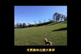 一个座落于云南边疆之地的小春城——个旧，四季如春，景色如画视频封面