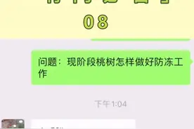 桃树怎样做好防冻工作？视频封面