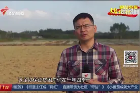 20200503今日一线完整版视频封面