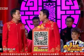 春晚相声小品大全_标清视频封面