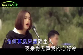 伤感流行歌曲《再见只是陌生人》精选MV收藏版视频封面